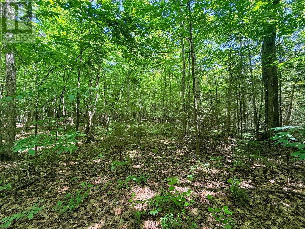514c East Road, Mindemoya, Ontario  P0P 1S0 - Photo 27 - 2129063