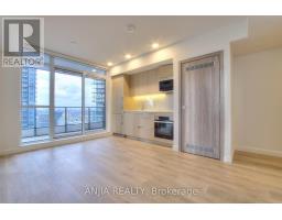 2807 - 38 WIDMER STREET, Toronto, Ontario