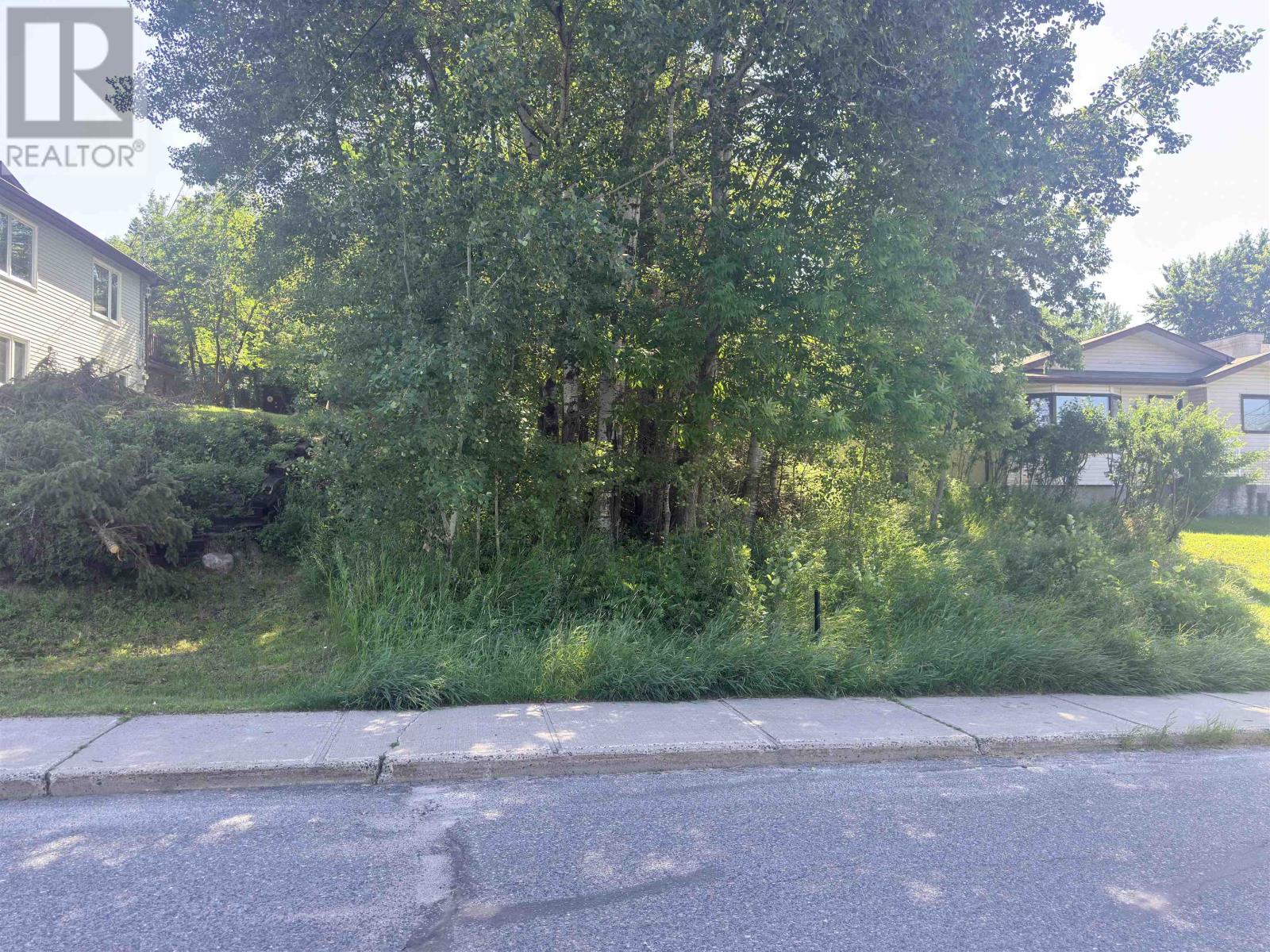 881 4th Avenue S, Kenora, Ontario P9N 1Z9 - Photo 4 - TB2601859