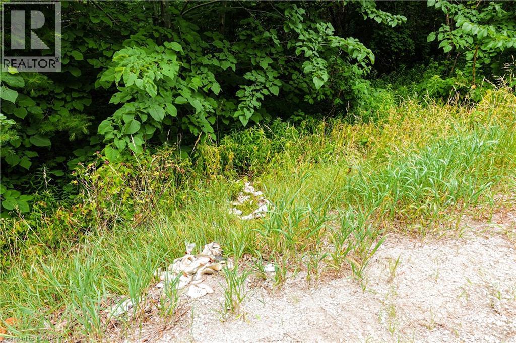 0 Swimming Pool Road, Lasalette, Ontario  N0E 1H0 - Photo 16 - 40830969