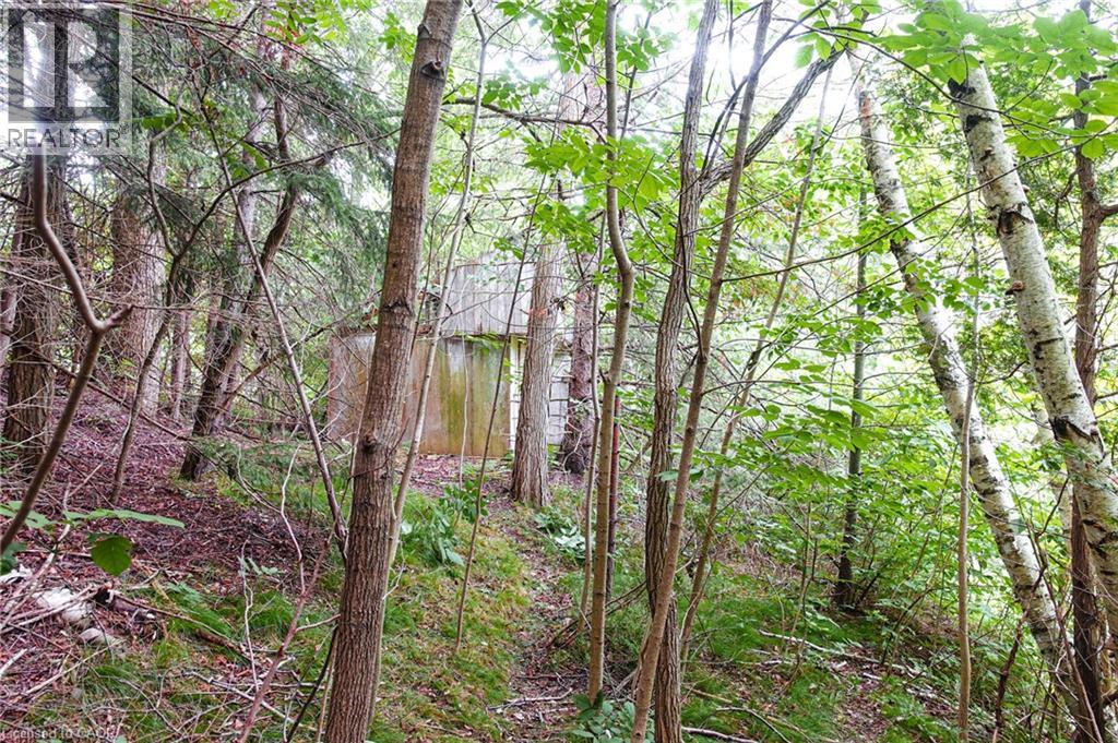 0 Swimming Pool Road, Lasalette, Ontario  N0E 1H0 - Photo 11 - 40830969