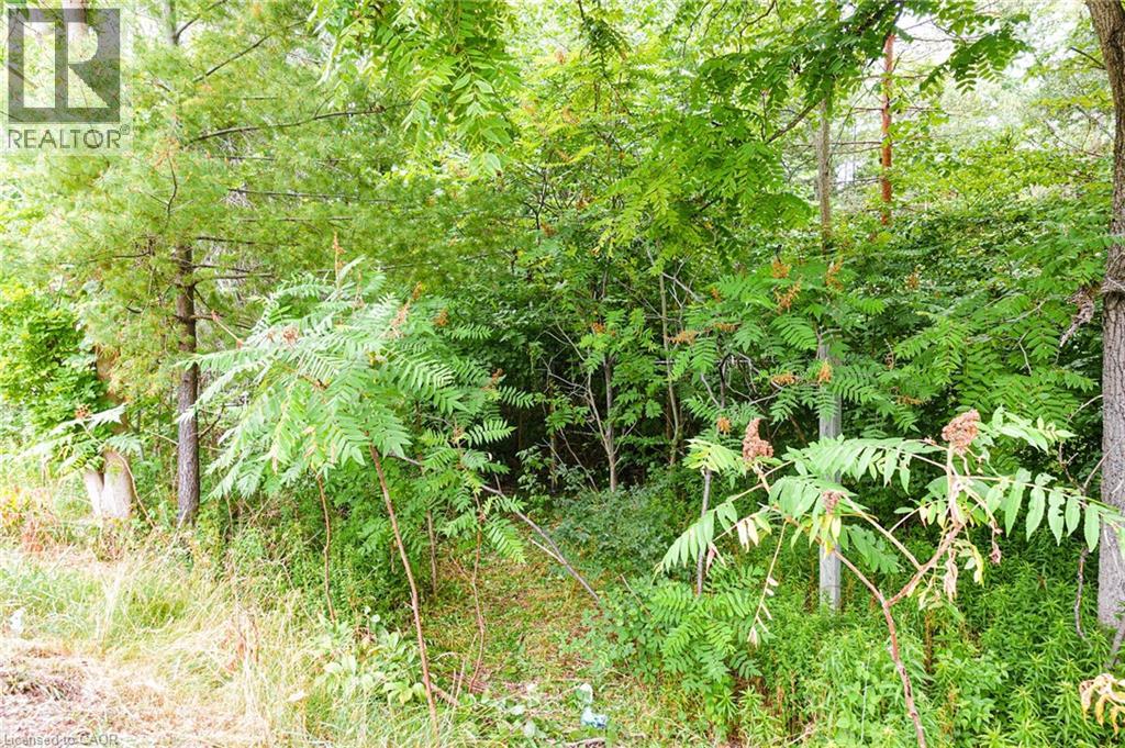 0 Swimming Pool Road, Lasalette, Ontario  N0E 1H0 - Photo 15 - 40830969