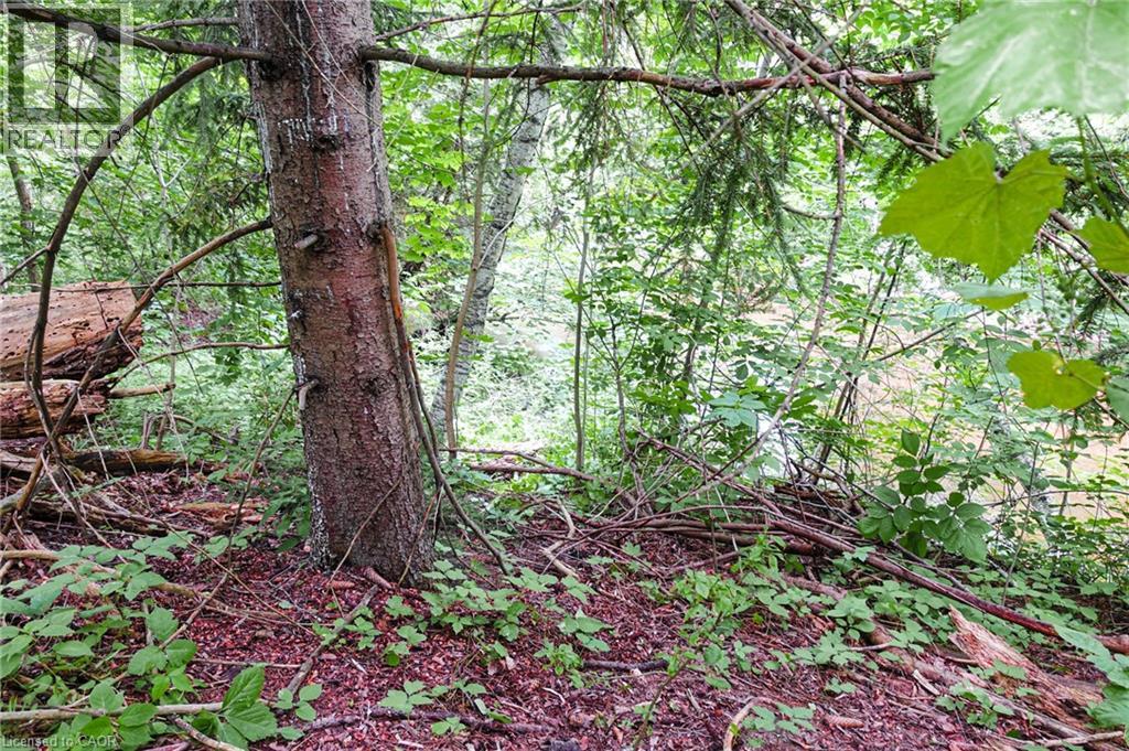 0 Swimming Pool Road, Lasalette, Ontario  N0E 1H0 - Photo 6 - 40830969