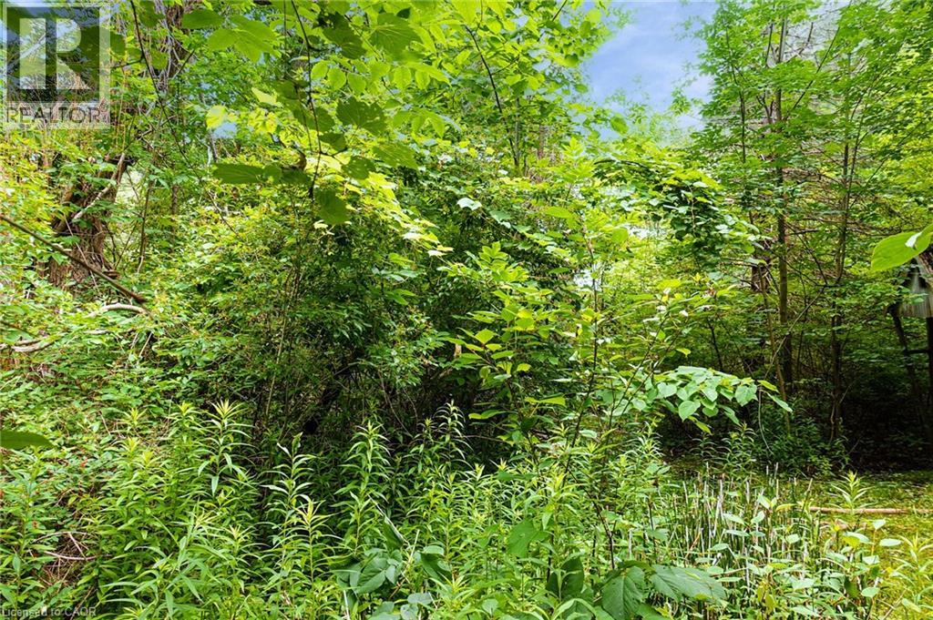 0 Swimming Pool Road, Lasalette, Ontario  N0E 1H0 - Photo 17 - 40830969