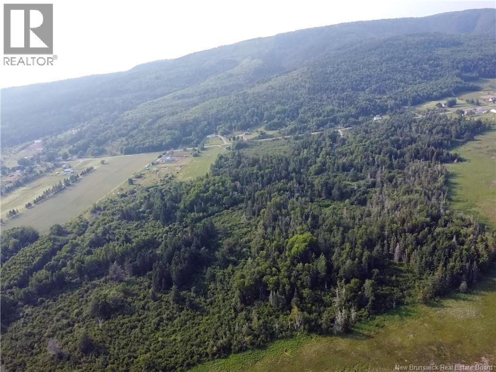 Lot Route 114, Shepody, New Brunswick E4H 4K4 - Photo 10 - NB143442