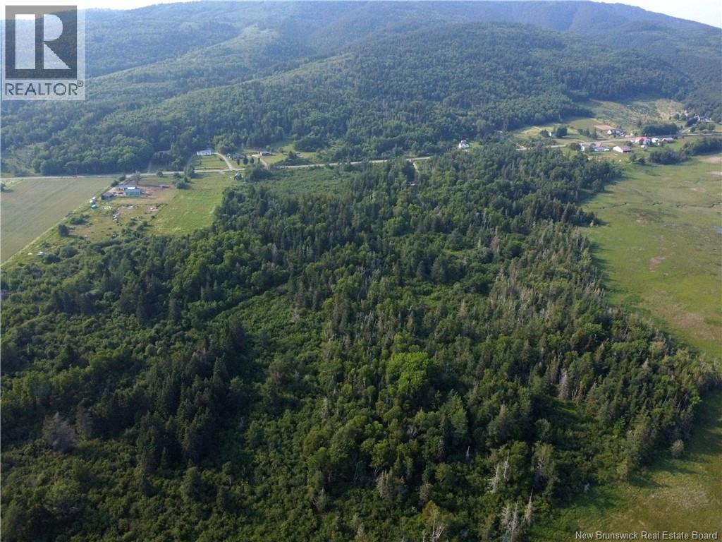 Lot Route 114, Shepody, New Brunswick E4H 4K4 - Photo 12 - NB143442