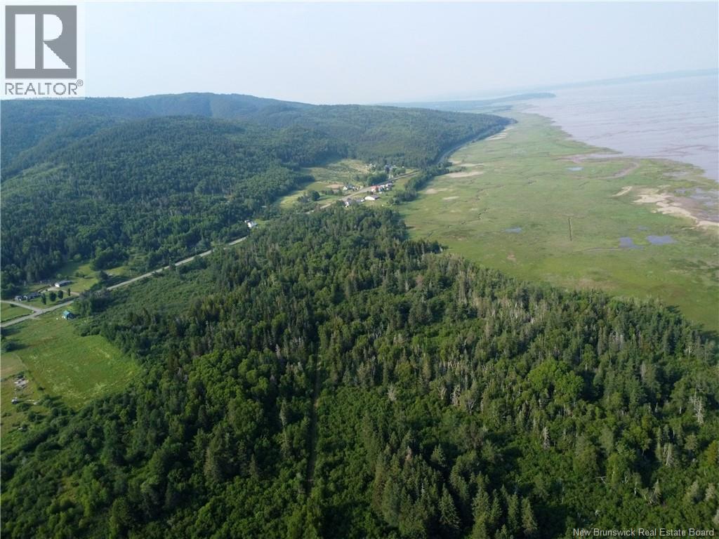 Lot Route 114, Shepody, New Brunswick E4H 4K4 - Photo 13 - NB143442