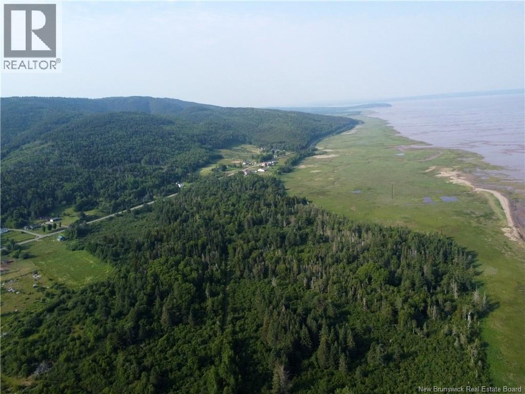 Lot Route 114, Shepody, New Brunswick E4H 4K4 - Photo 14 - NB143442
