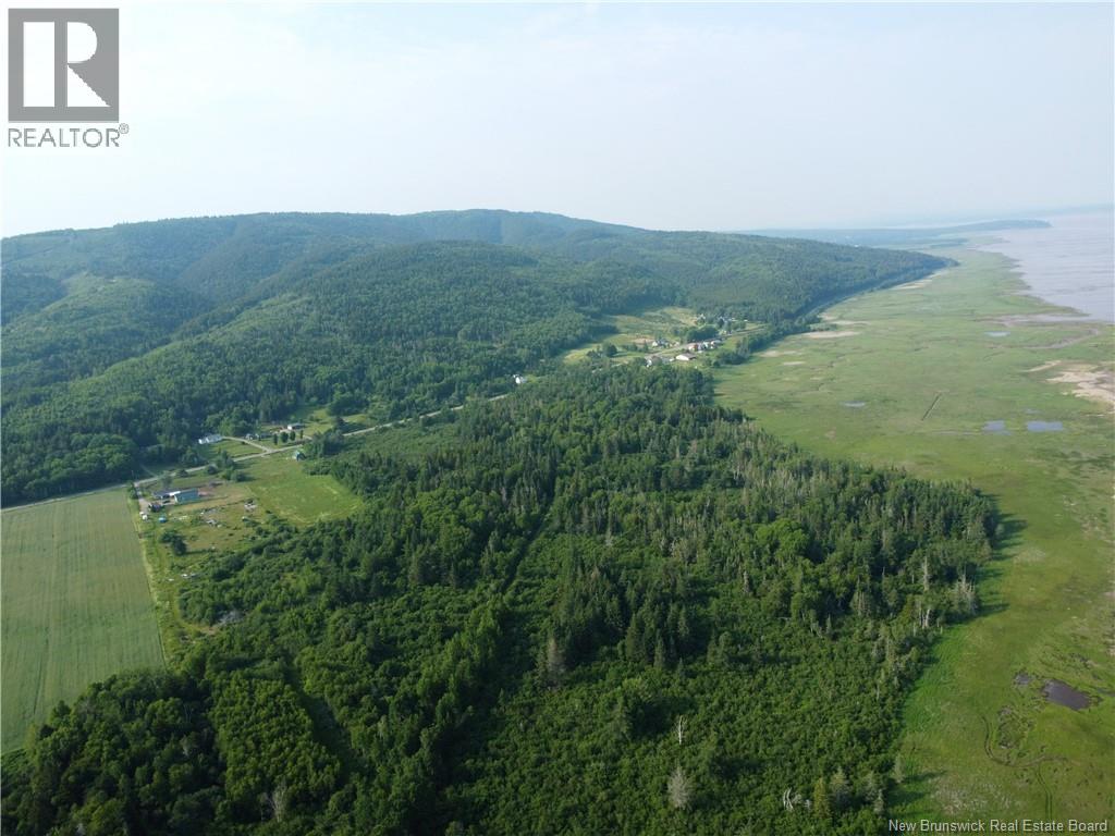 Lot Route 114, Shepody, New Brunswick E4H 4K4 - Photo 15 - NB143442
