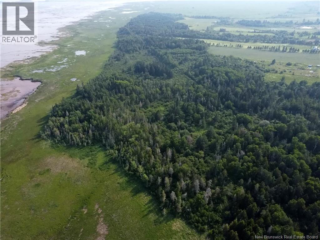 Lot Route 114, Shepody, New Brunswick E4H 4K4 - Photo 4 - NB143442