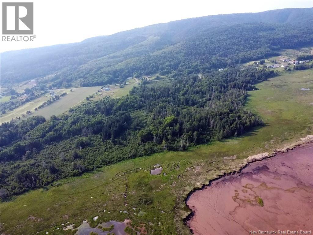 Lot Route 114, Shepody, New Brunswick E4H 4K4 - Photo 6 - NB143442
