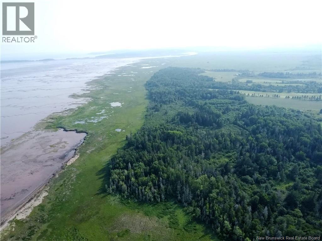 Lot Route 114, Shepody, New Brunswick E4H 4K4 - Photo 8 - NB143442
