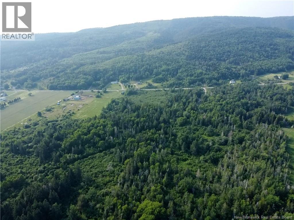 Lot Route 114, Shepody, New Brunswick E4H 4K4 - Photo 9 - NB143442