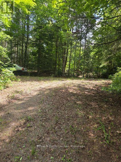 1326 Musclow Greenview, Hastings Highlands, Ontario  K0L 1C0 - Photo 11 - X13539064