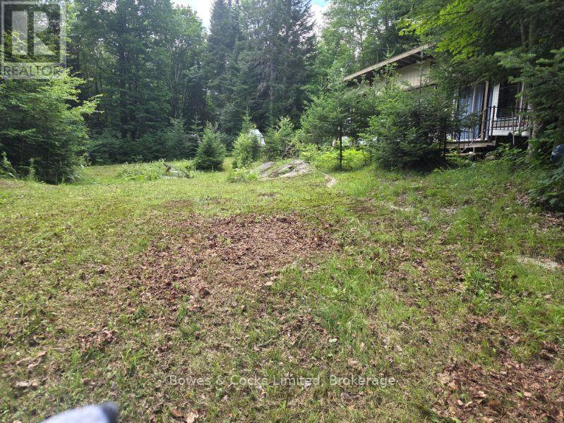 1326 Musclow Greenview, Hastings Highlands, Ontario  K0L 1C0 - Photo 4 - X13539064
