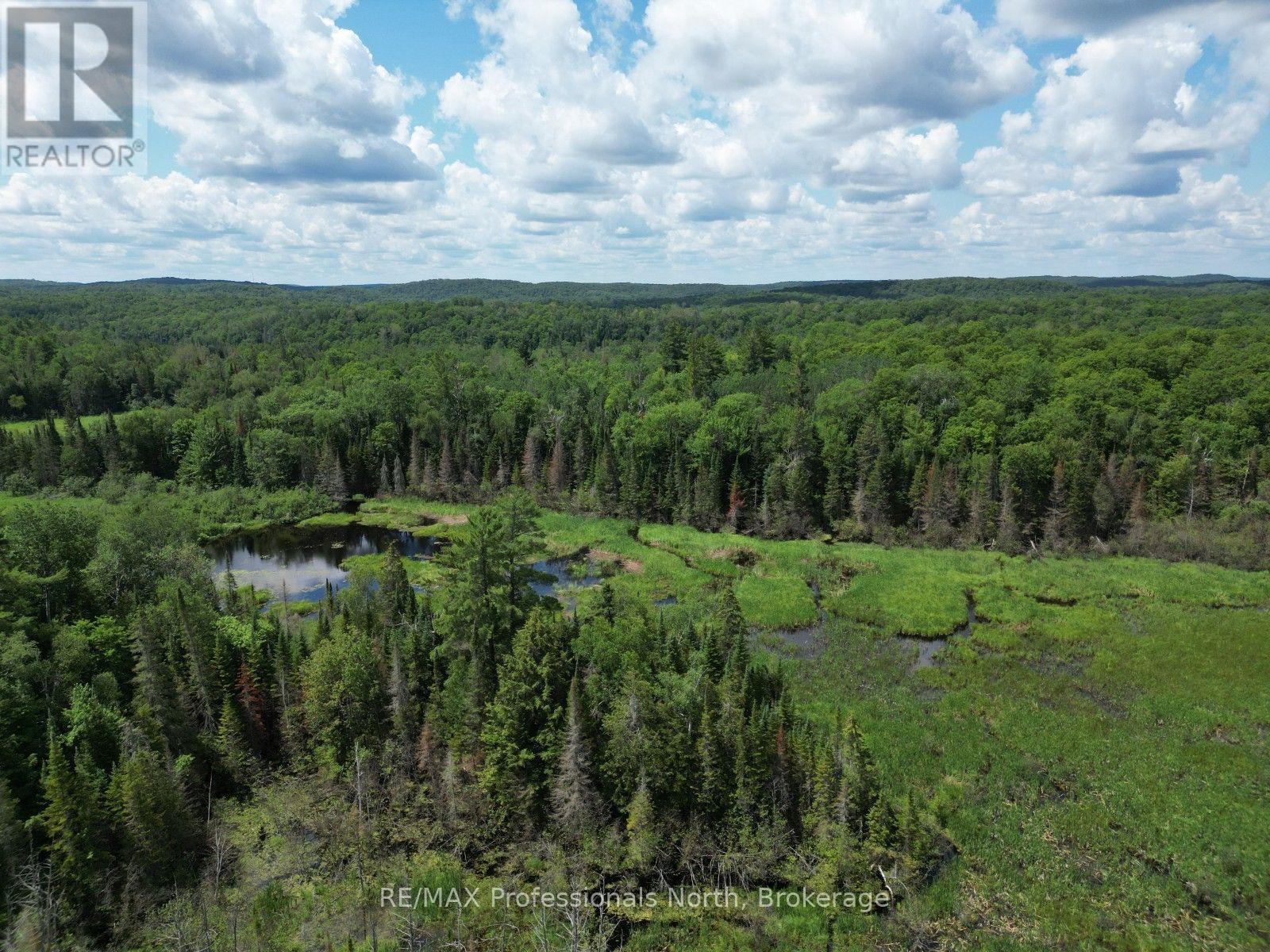 1419 Clement Lake Road, Highlands East, Ontario  K0L 3C0 - Photo 3 - X13539212