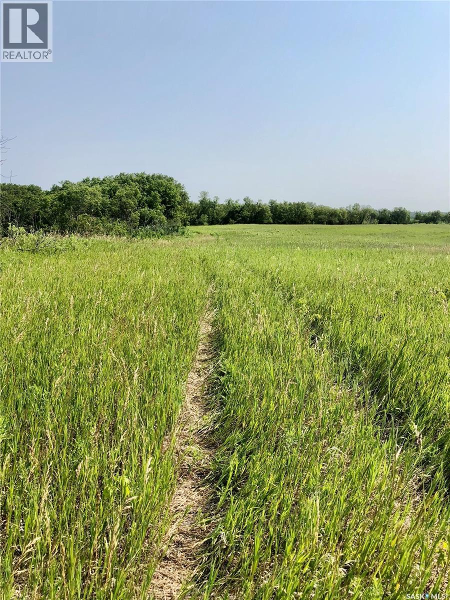 Rm Of Livingston Rec Land, Livingston Rm No. 331, Saskatchewan  S0A 2Z0 - Photo 5 - SK041404
