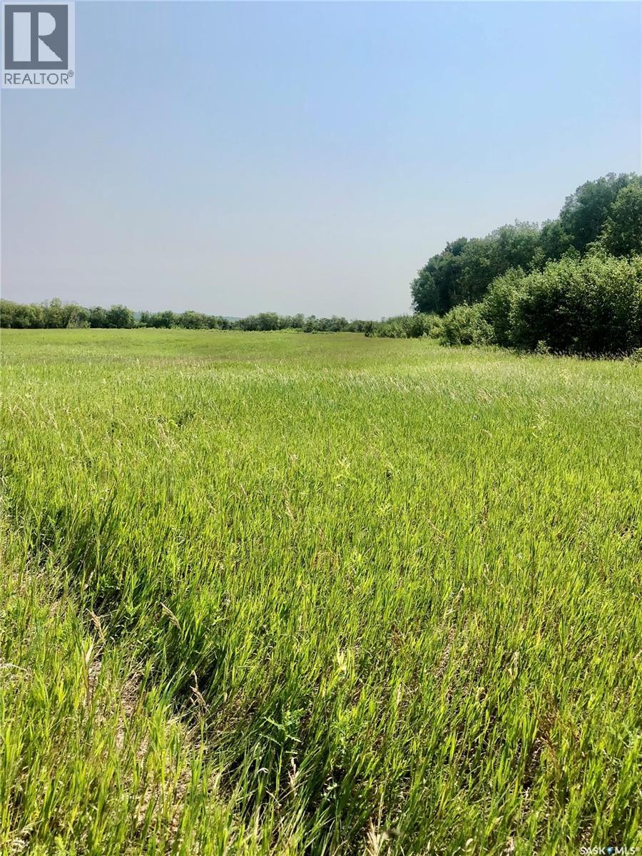 Rm Of Livingston Rec Land, Livingston Rm No. 331, Saskatchewan  S0A 2Z0 - Photo 6 - SK041404