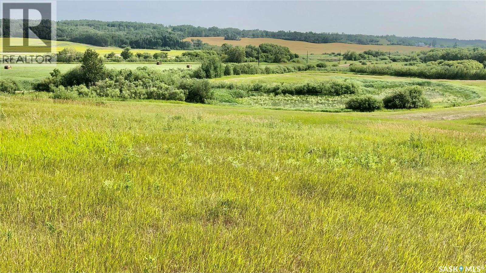 Rm Of Livingston Rec Land, Livingston Rm No. 331, Saskatchewan  S0A 2Z0 - Photo 4 - SK041404
