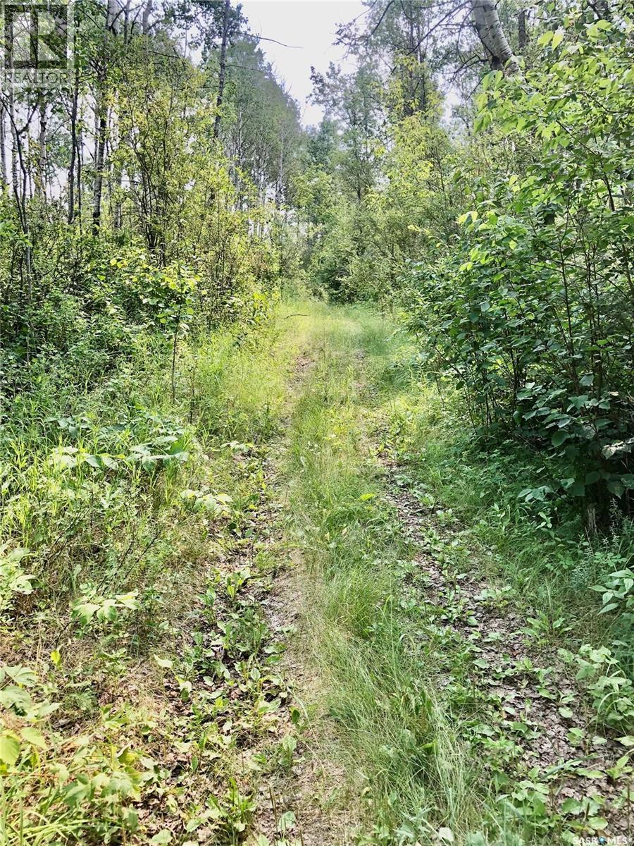 Rm Of Livingston Rec Land, Livingston Rm No. 331, Saskatchewan  S0A 2Z0 - Photo 15 - SK041404