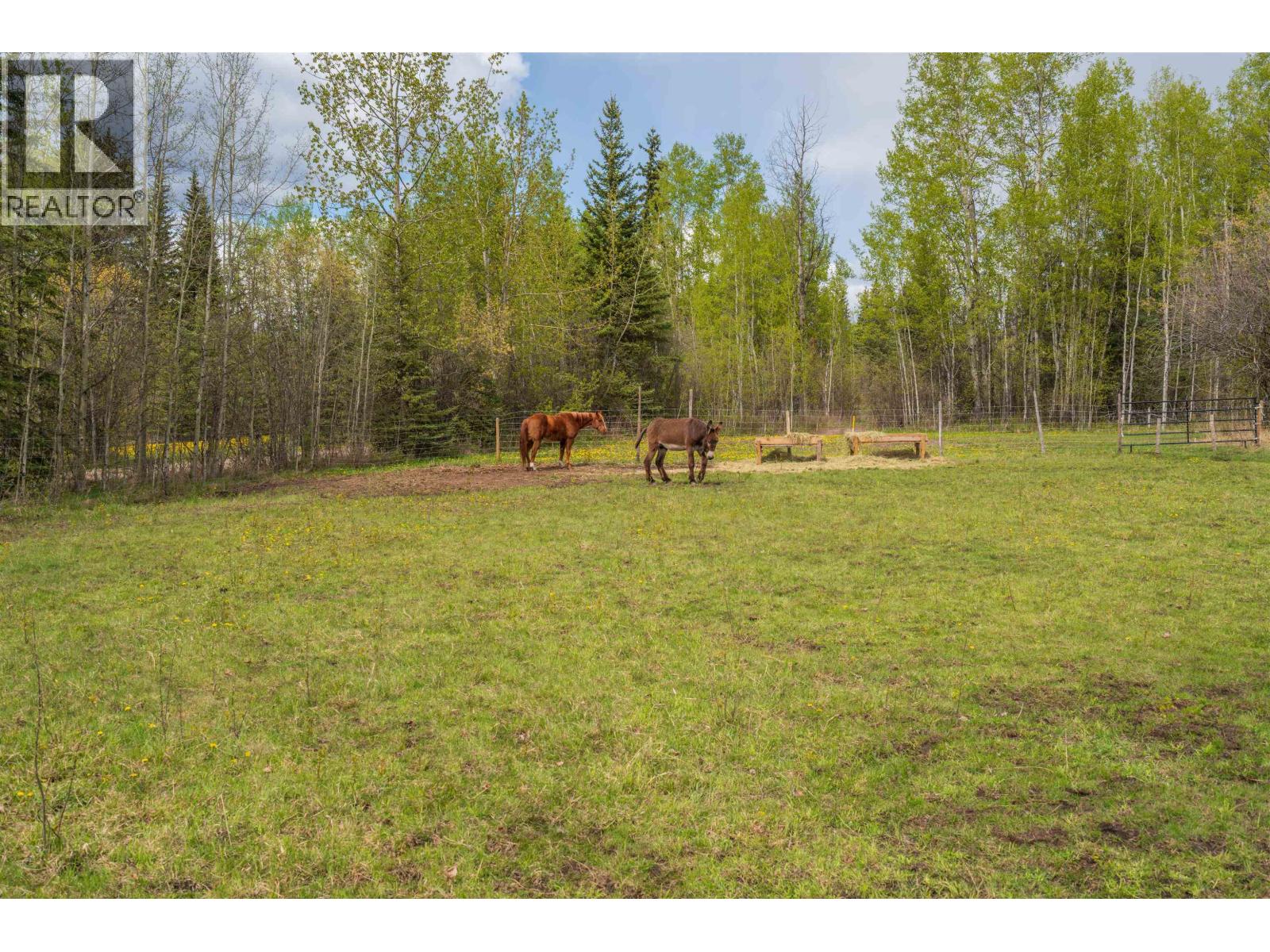 7463 Moose Horn Road, Burns Lake, British Columbia  V0J 1E0 - Photo 19 - C8077738