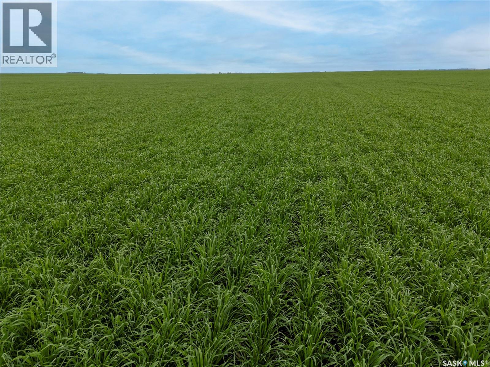 12,511 Acres Of Farmland & Yard Sites Near Regina, Edenwold Rm No.158, Saskatchewan  S0G 2T0 - Photo 77 - SK041921