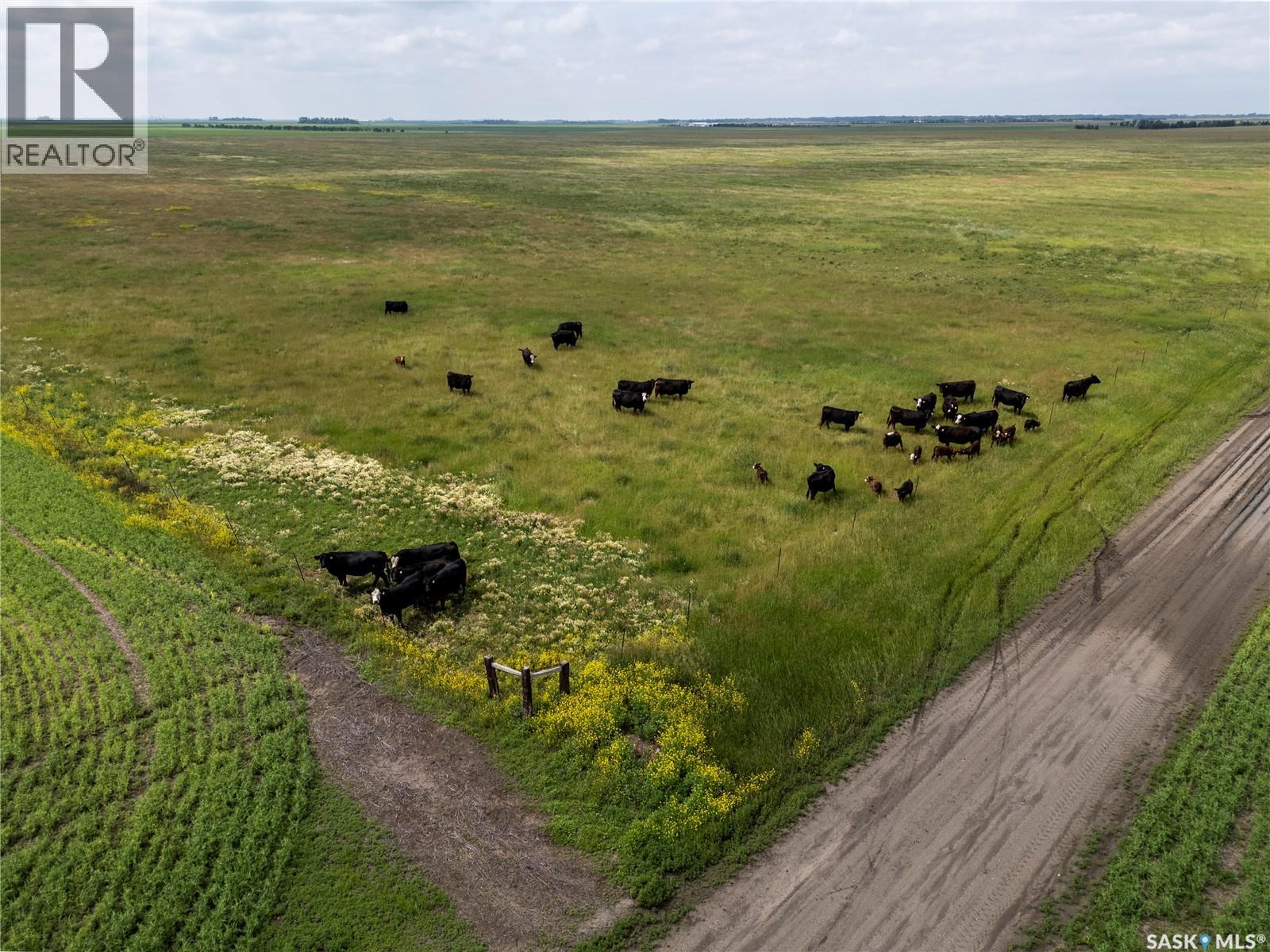 12,511 Acres Of Farmland & Yard Sites Near Regina, Edenwold Rm No.158, Saskatchewan  S0G 2T0 - Photo 6 - SK041921
