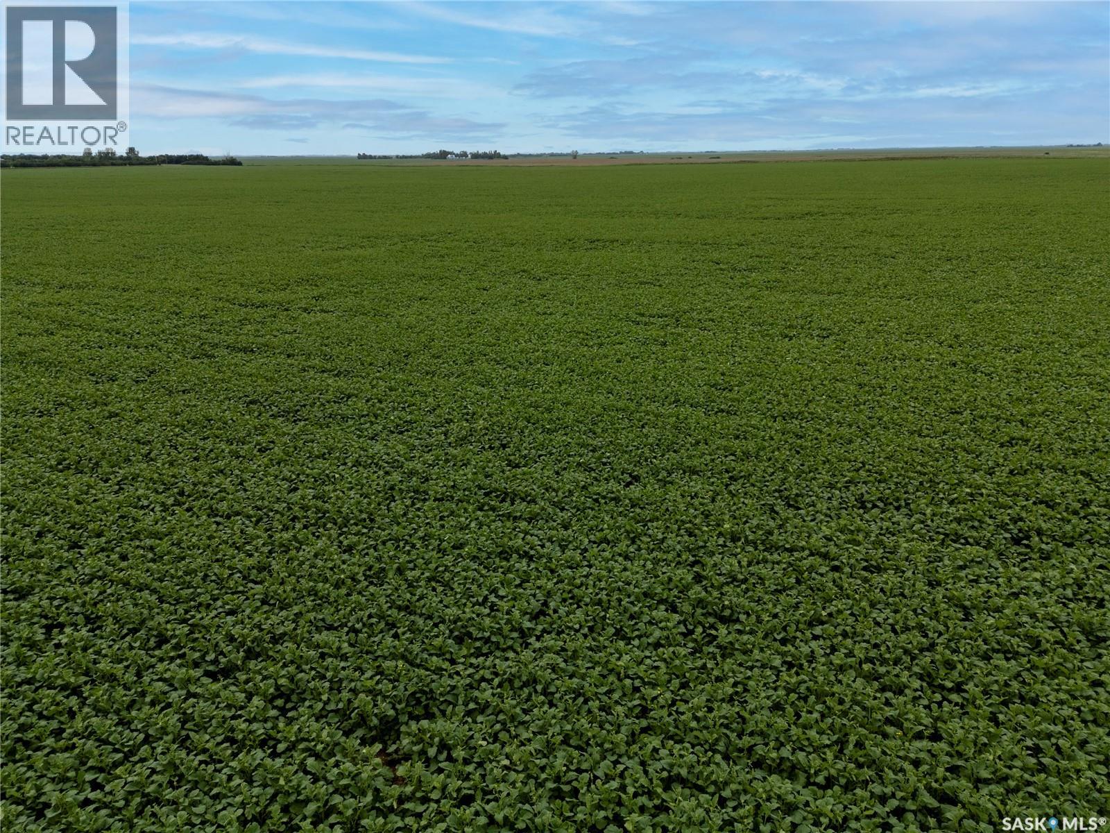 12,511 Acres Of Farmland & Yard Sites Near Regina, Edenwold Rm No.158, Saskatchewan  S0G 2T0 - Photo 26 - SK041921