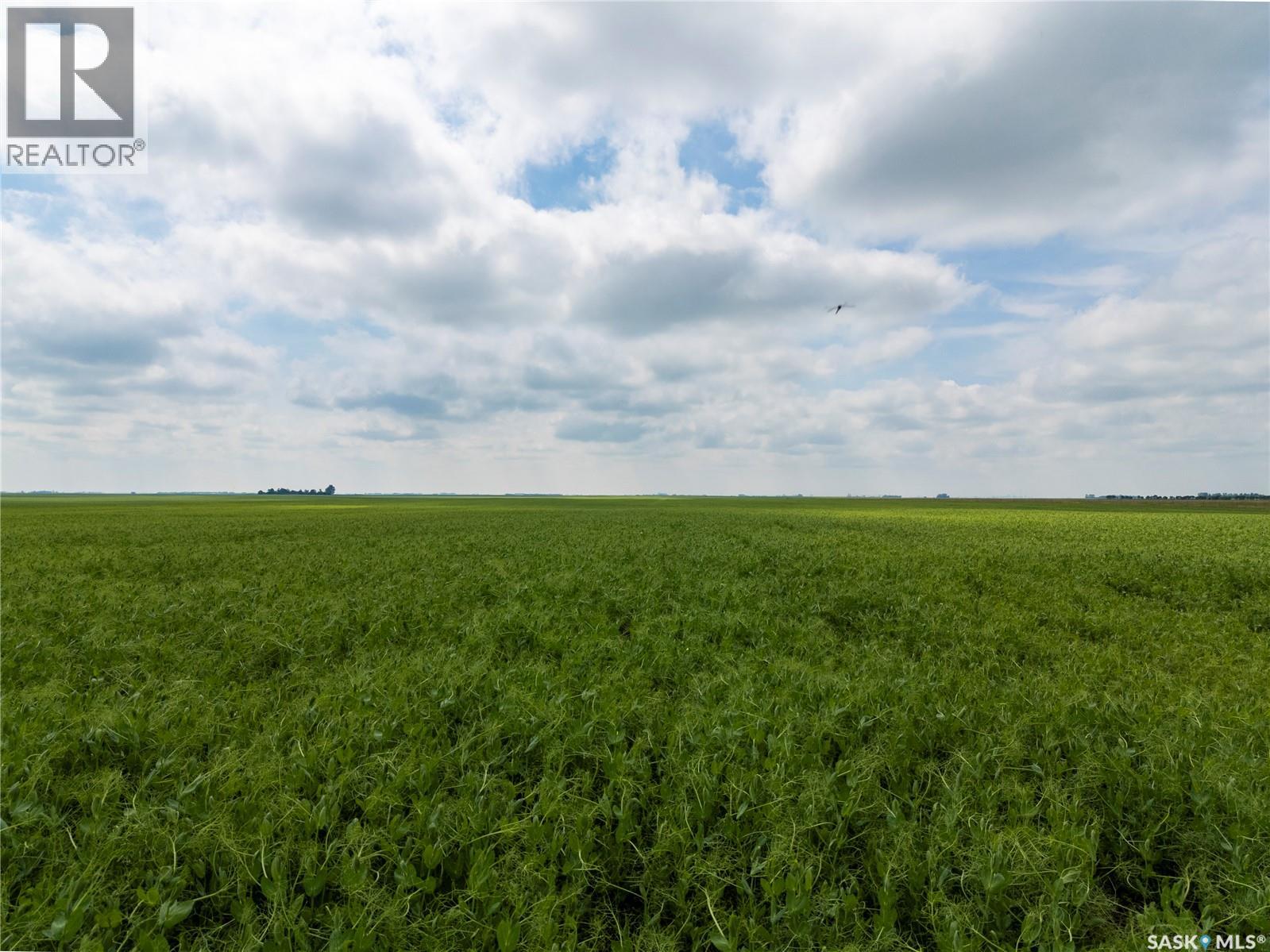 12,511 Acres Of Farmland & Yard Sites Near Regina, Edenwold Rm No.158, Saskatchewan  S0G 2T0 - Photo 5 - SK041921