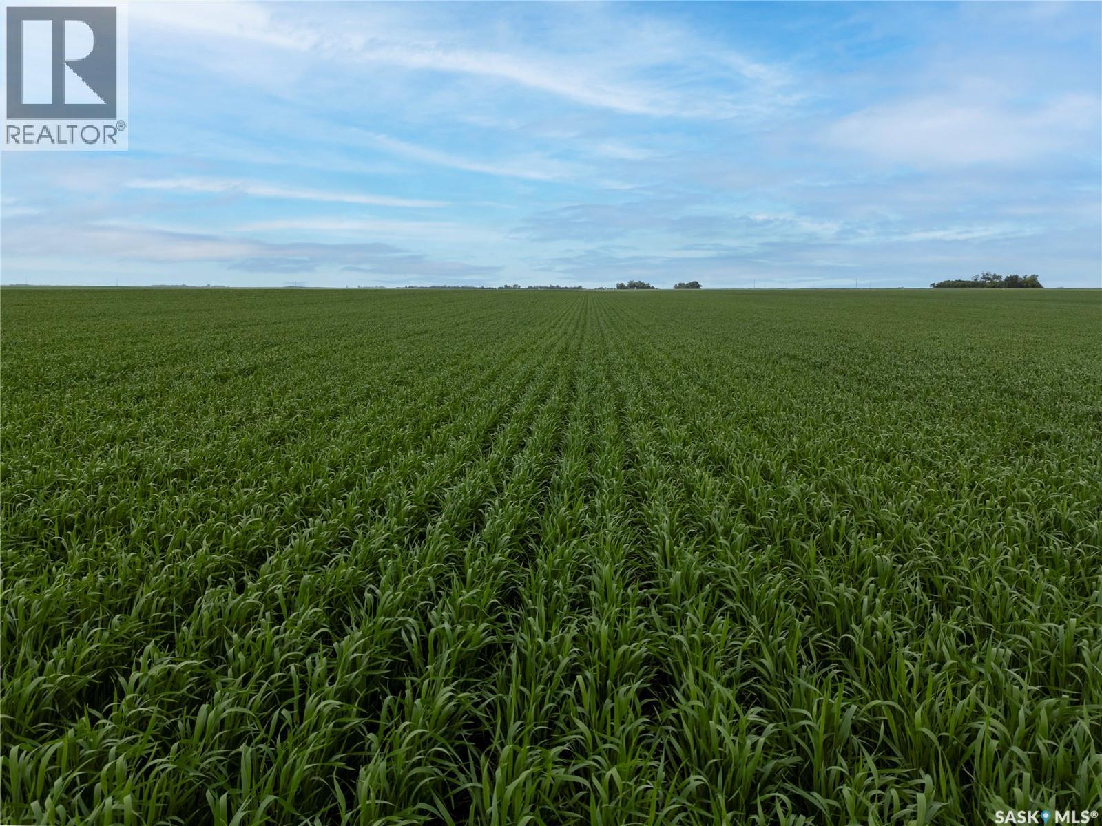 12,511 Acres Of Farmland & Yard Sites Near Regina, Edenwold Rm No.158, Saskatchewan  S0G 2T0 - Photo 53 - SK041921