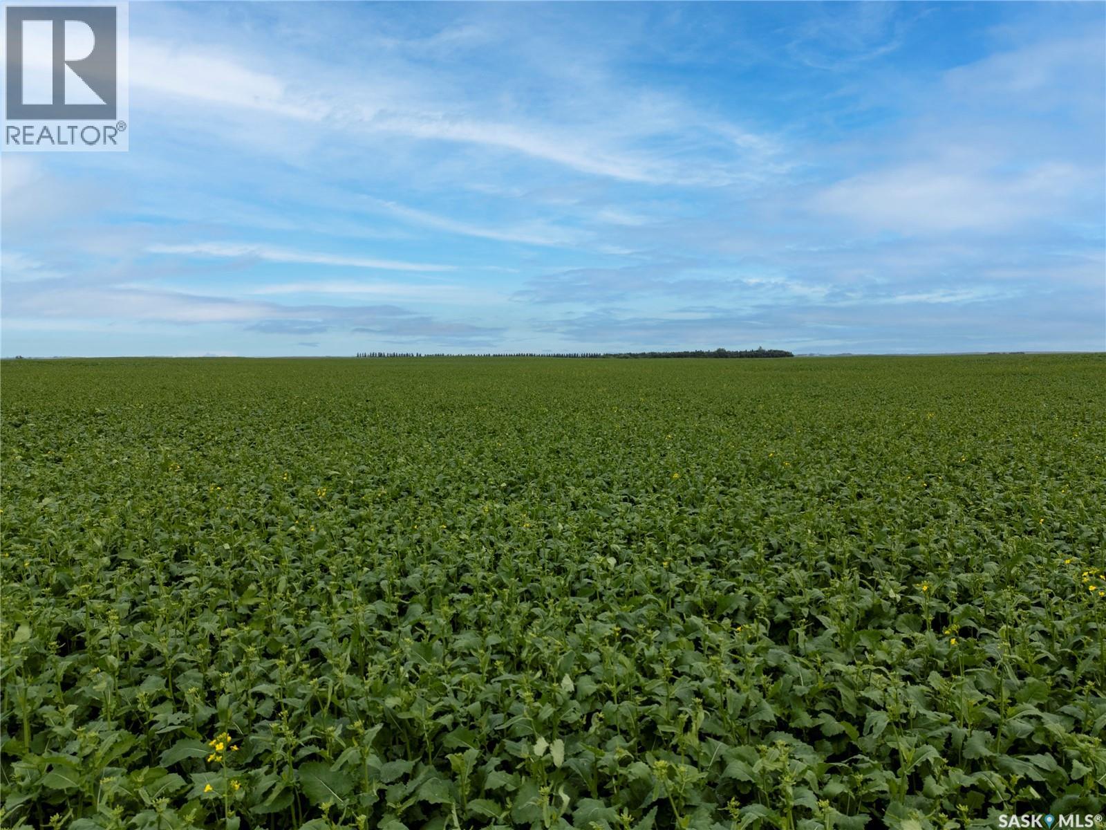 12,511 Acres Of Farmland & Yard Sites Near Regina, Edenwold Rm No.158, Saskatchewan  S0G 2T0 - Photo 62 - SK041921