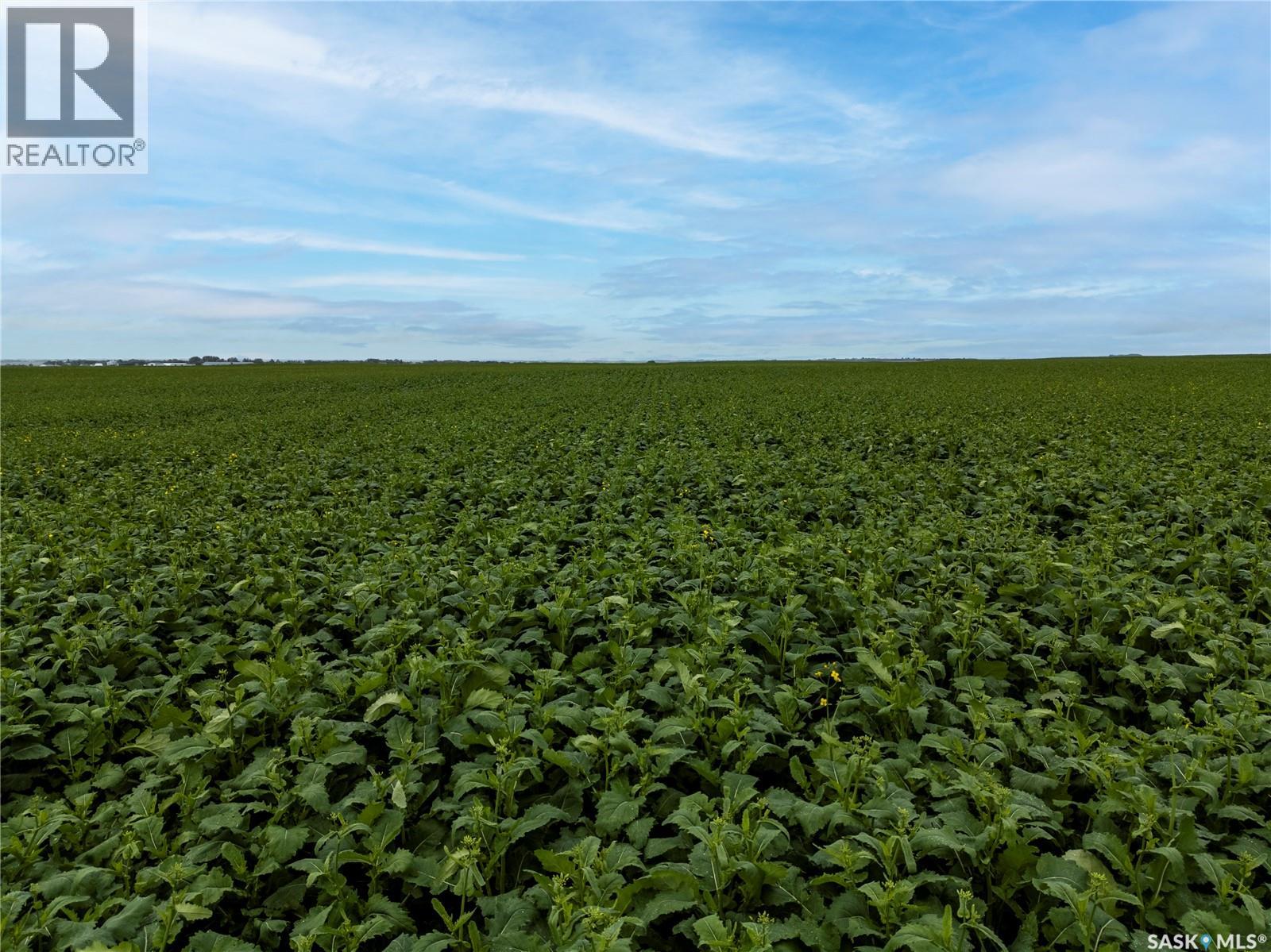 12,511 Acres Of Farmland & Yard Sites Near Regina, Edenwold Rm No.158, Saskatchewan  S0G 2T0 - Photo 80 - SK041921