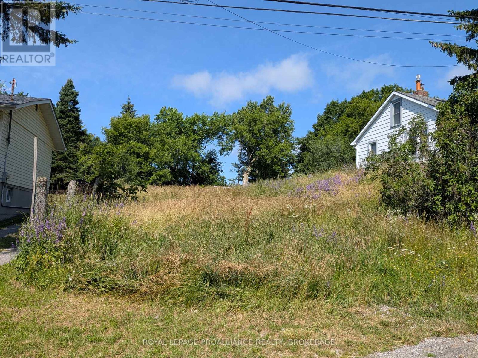 20 Shaw Street, Kingston, Ontario  K7K 4Y4 - Photo 2 - X13539862