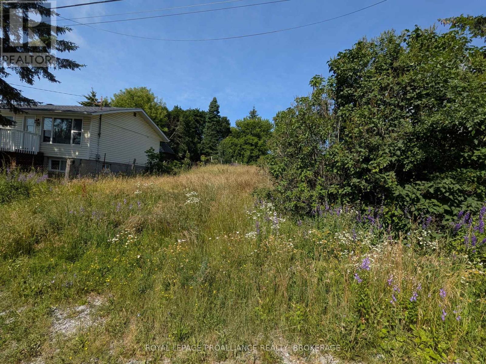 20 Shaw Street, Kingston, Ontario  K7K 4Y4 - Photo 4 - X13539862