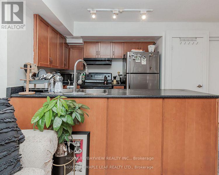 202 - 21 Earl Street, Toronto, Ontario  M4Y 1M4 - Photo 5 - C13540062