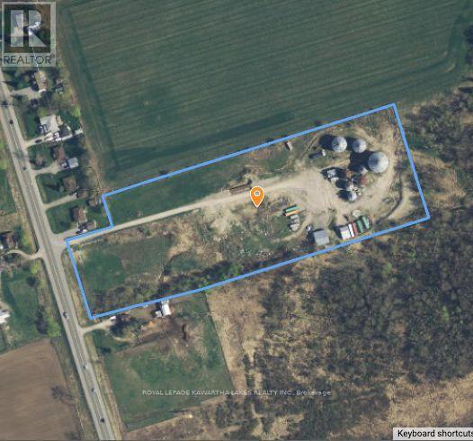 2788 Hwy 35 Highway, Kawartha Lakes, Ontario K9V 4R4 - Photo 21 - X13539946