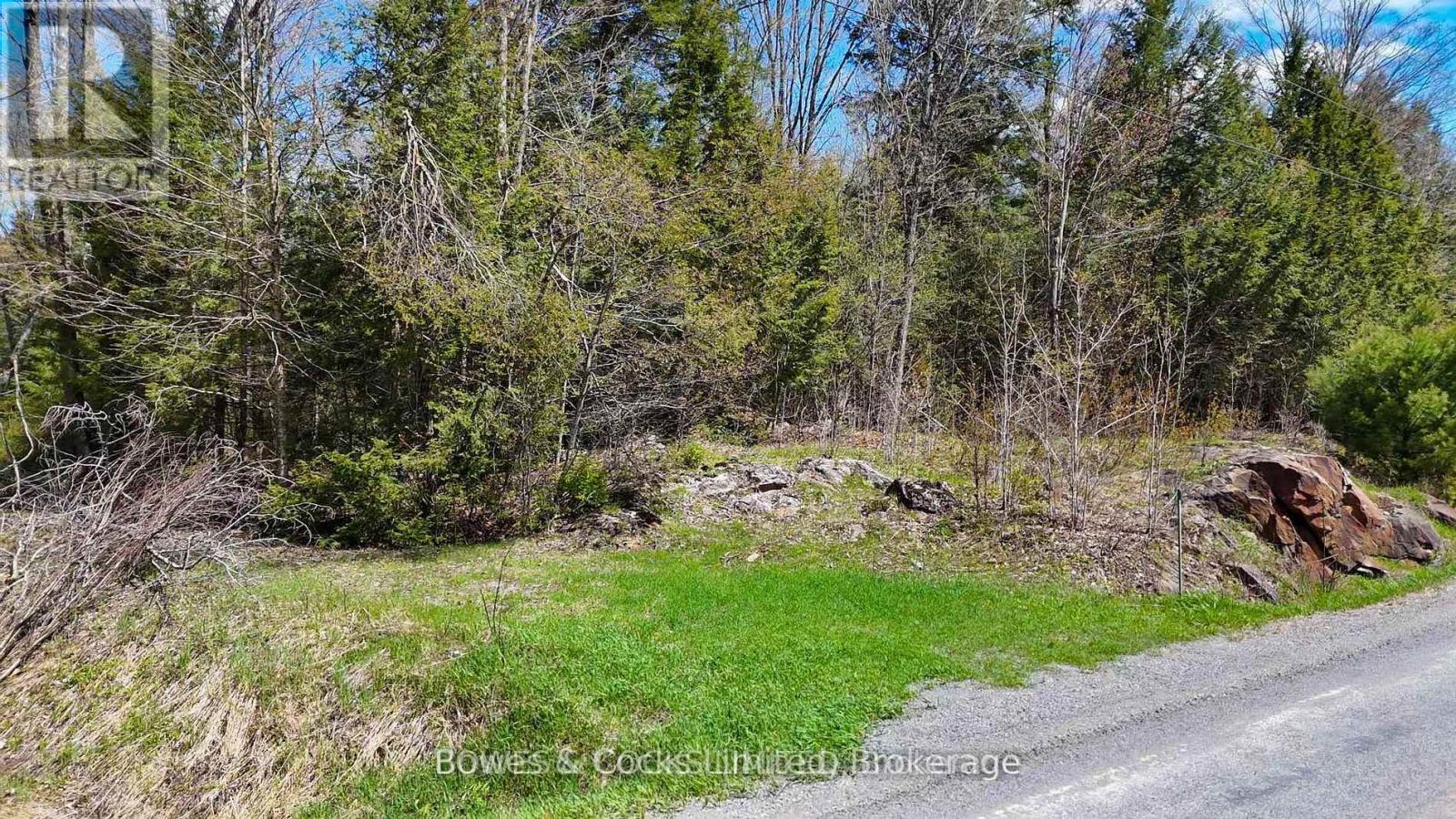 1160 Balmer Road, North Kawartha, Ontario  K0L 1A0 - Photo 3 - X13540040