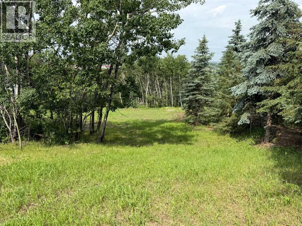 5108 42a Street Close, Ponoka, Alberta  T4J 1M3 - Photo 3 - A2280223