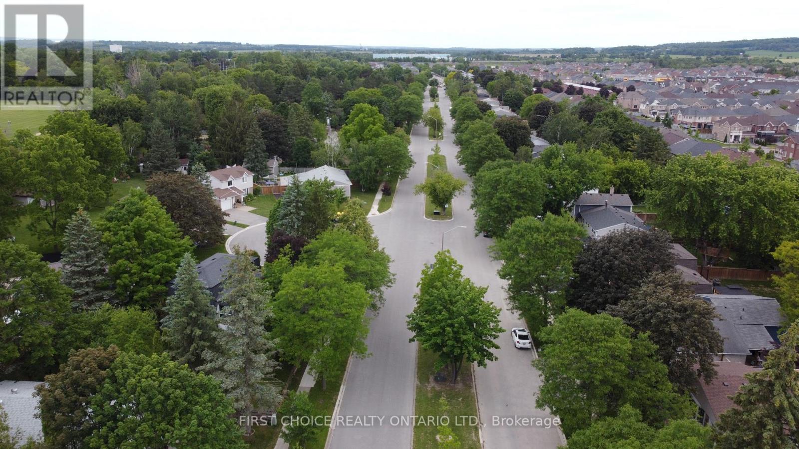 74 The Boulevard Avenue, New Tecumseth, Ontario  L0G 1W0 - Photo 32 - N13482032