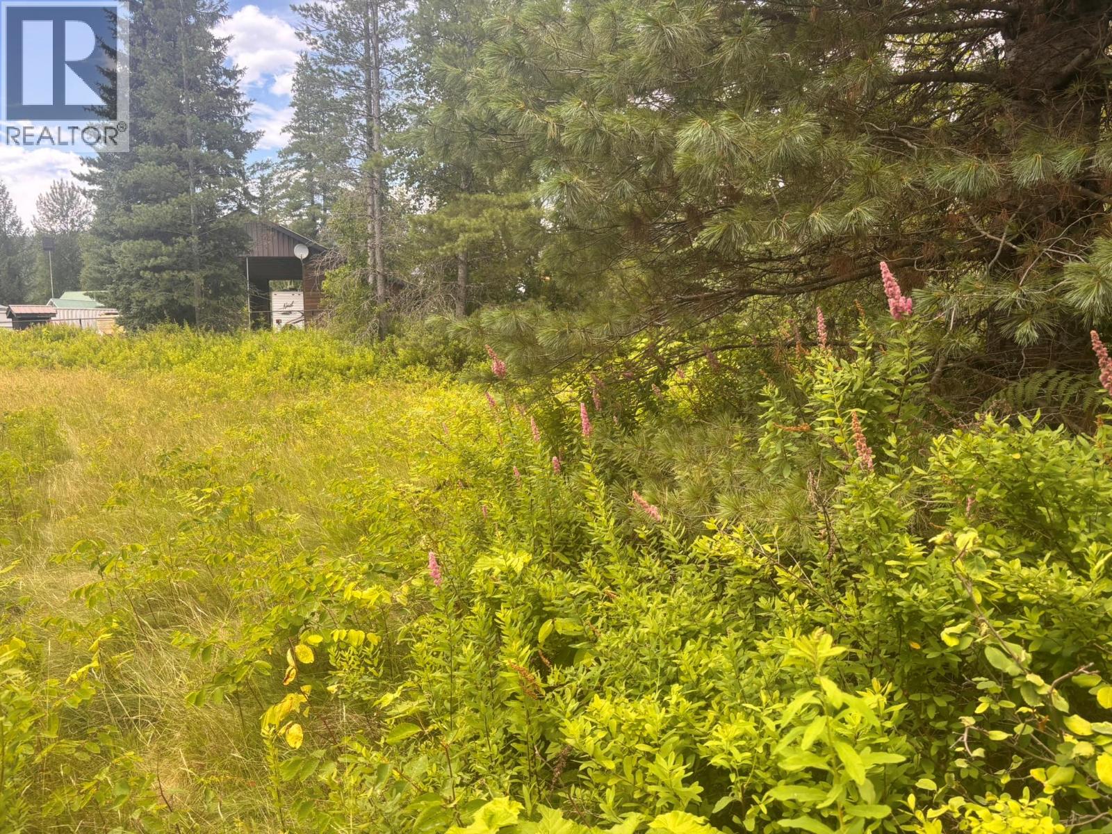 picture 1