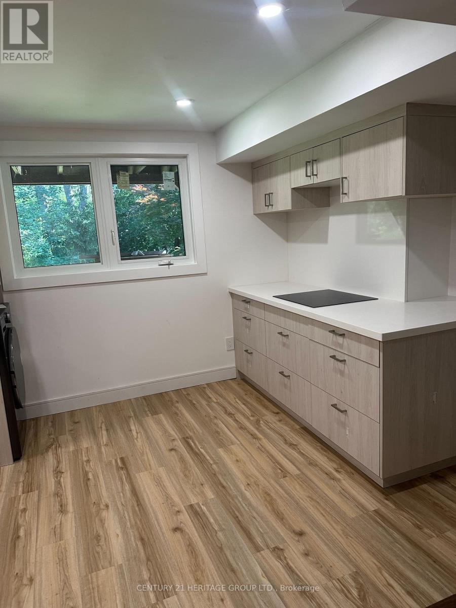 Bsmt - 18 Lippincott Court, Richmond Hill, Ontario  L4C 7M4 - Photo 13 - N13536890