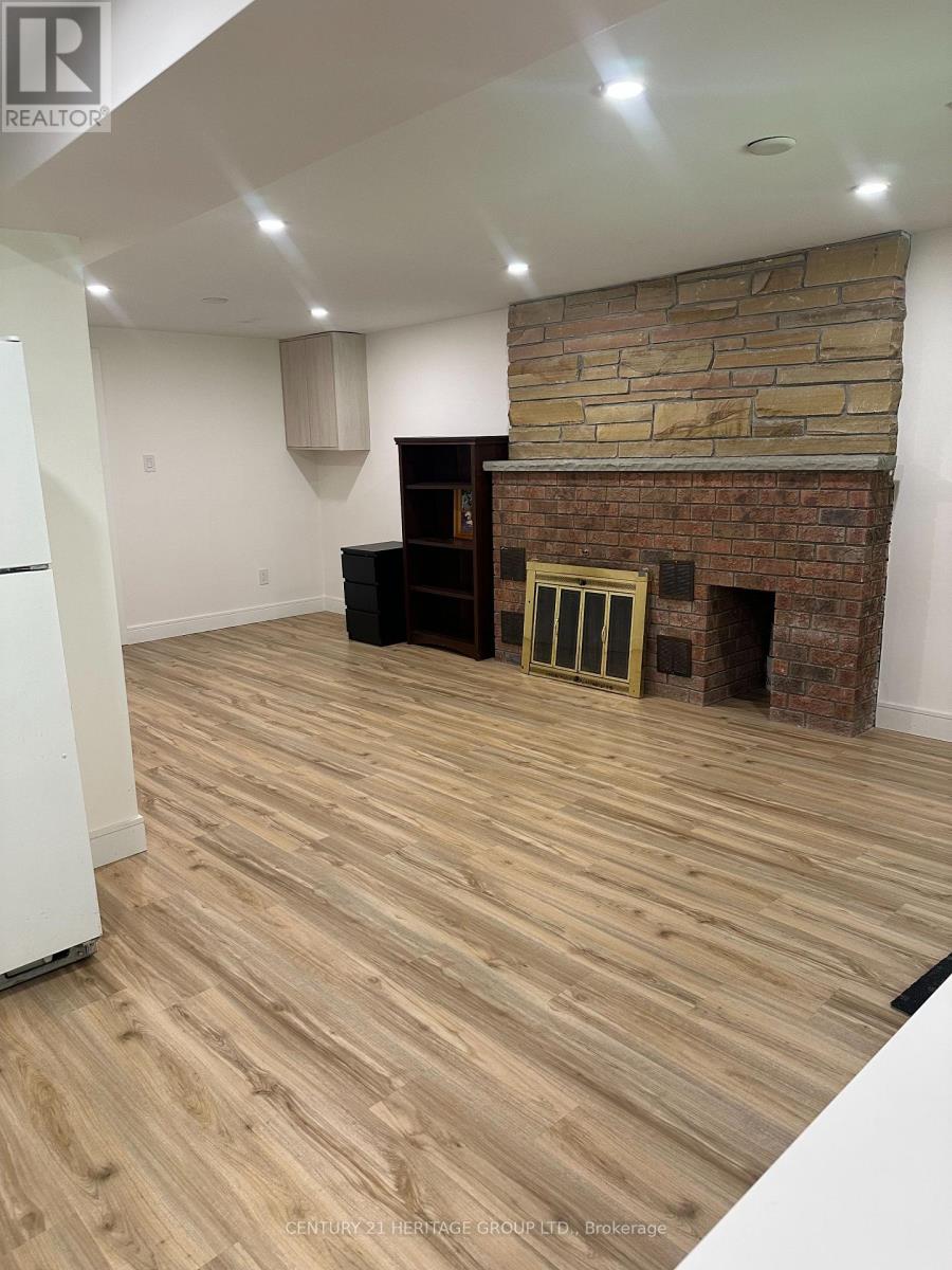 Bsmt - 18 Lippincott Court, Richmond Hill, Ontario  L4C 7M4 - Photo 14 - N13536890