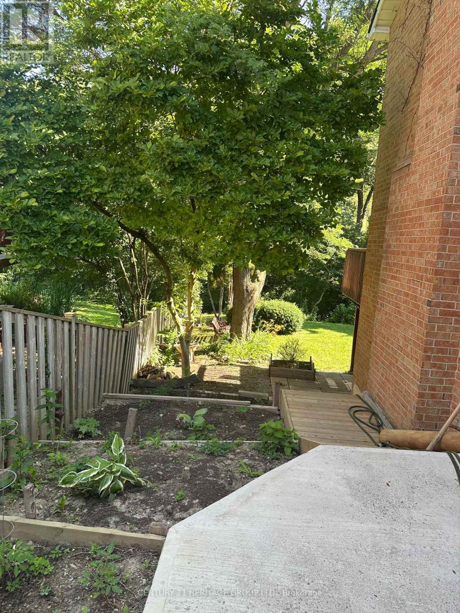 Bsmt - 18 Lippincott Court, Richmond Hill, Ontario  L4C 7M4 - Photo 18 - N13536890