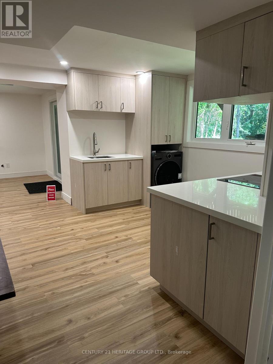 Bsmt - 18 Lippincott Court, Richmond Hill, Ontario  L4C 7M4 - Photo 19 - N13536890