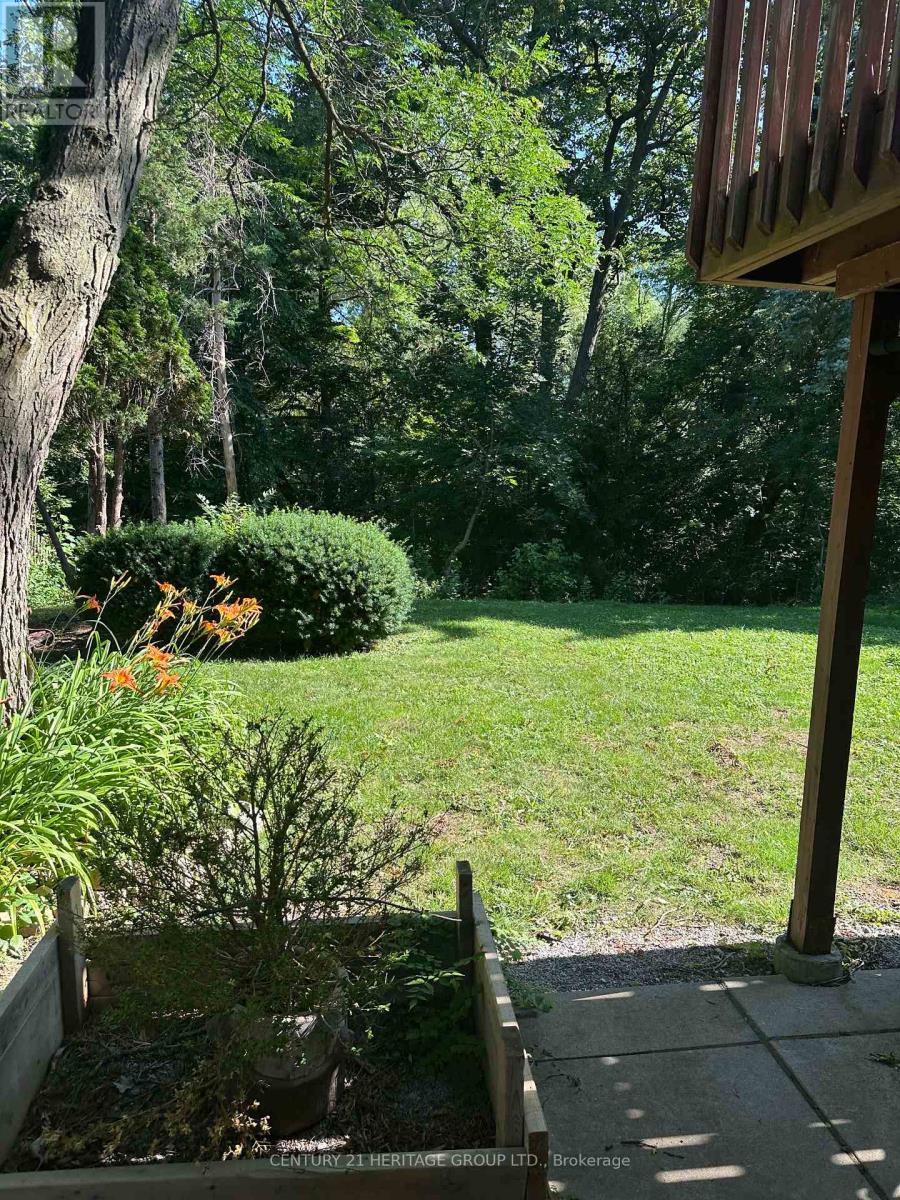 Bsmt - 18 Lippincott Court, Richmond Hill, Ontario  L4C 7M4 - Photo 20 - N13536890