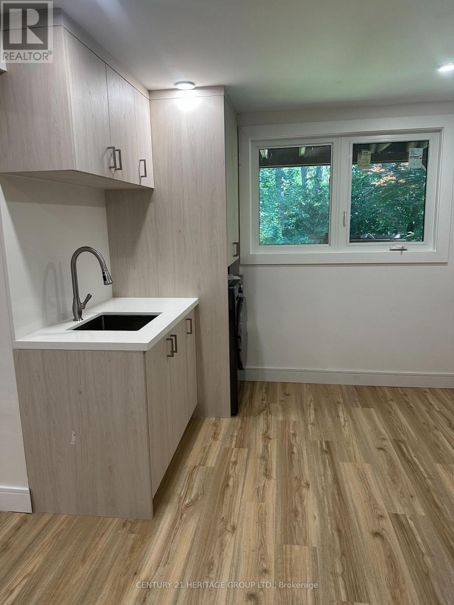 Bsmt - 18 Lippincott Court, Richmond Hill, Ontario  L4C 7M4 - Photo 9 - N13536890