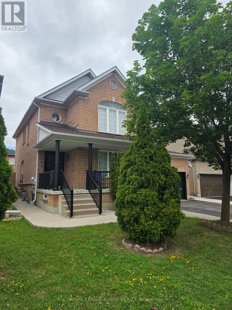 Unit B (Bsmt) - 15 Sugarcane Avenue, Brampton, Ontario  L6R 3C8 - Photo 2 - W13541010