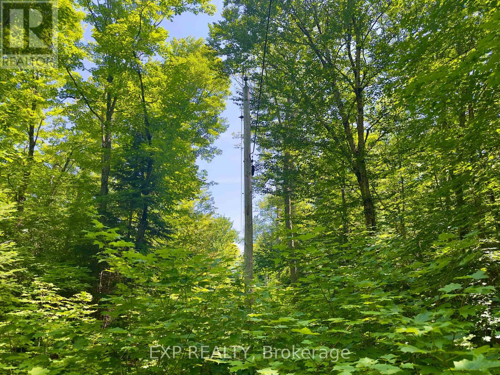 686 East Fox Lake Road, Huntsville, Ontario  P1H 2J2 - Photo 20 - X13423426
