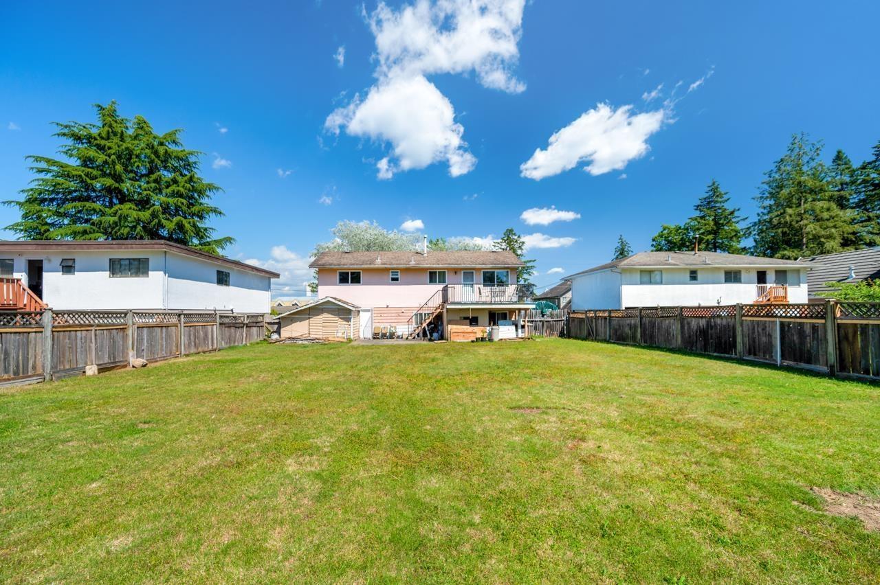 Listing image 20