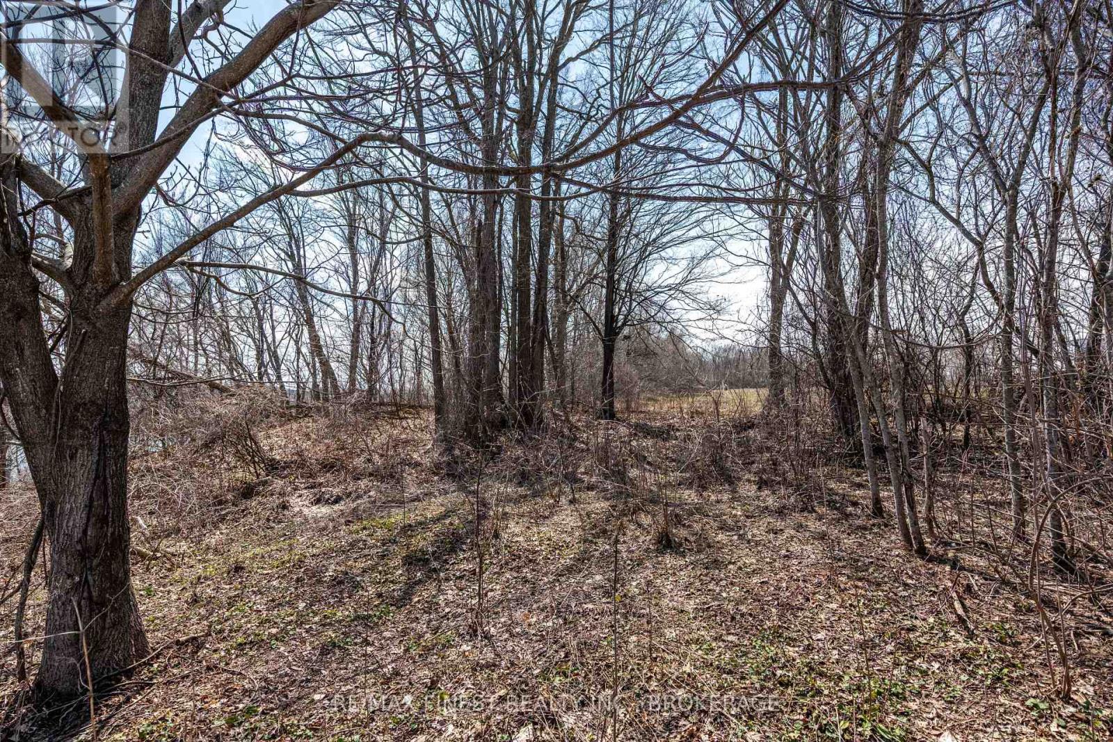 2539 Isle Of Man Road, Kingston, Ontario  K7L 4V3 - Photo 17 - X12990028